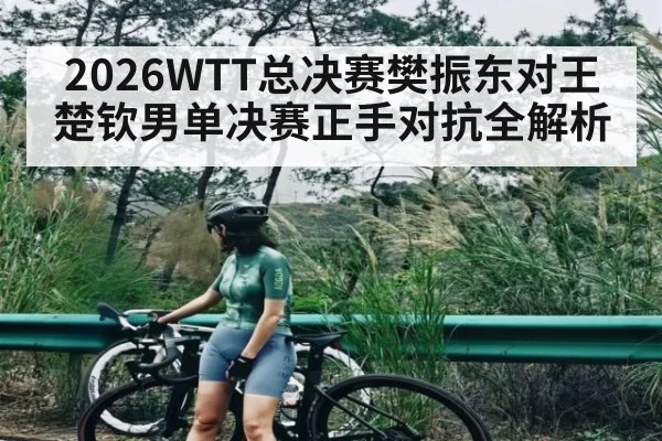 2026WTT总决赛樊振东对王楚钦男单决赛正手对抗全解析
